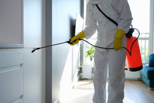 Best Attic Mold Removal  in Stockton, KS