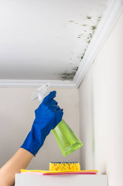 Best Water Damage Restoration  in Stockton, KS